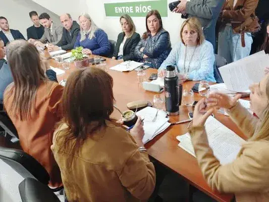 Modernización: el oficialismo impuso el dictamen y abrió una nueva disputa en el recinto