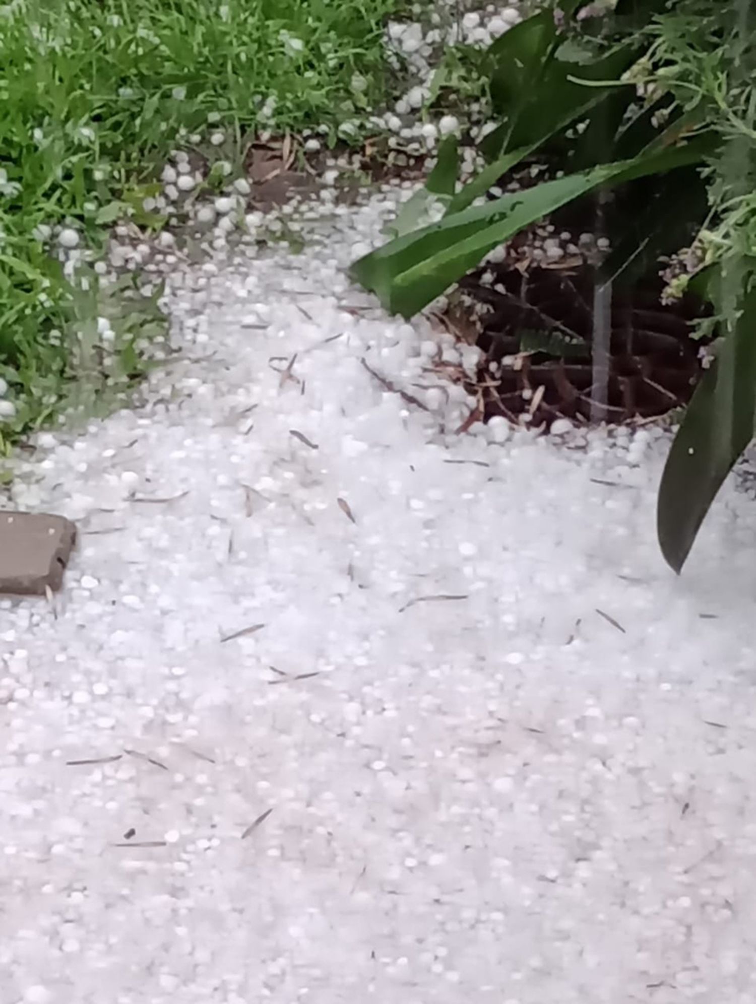 Una fuerte granizada se precipitó en Concordia