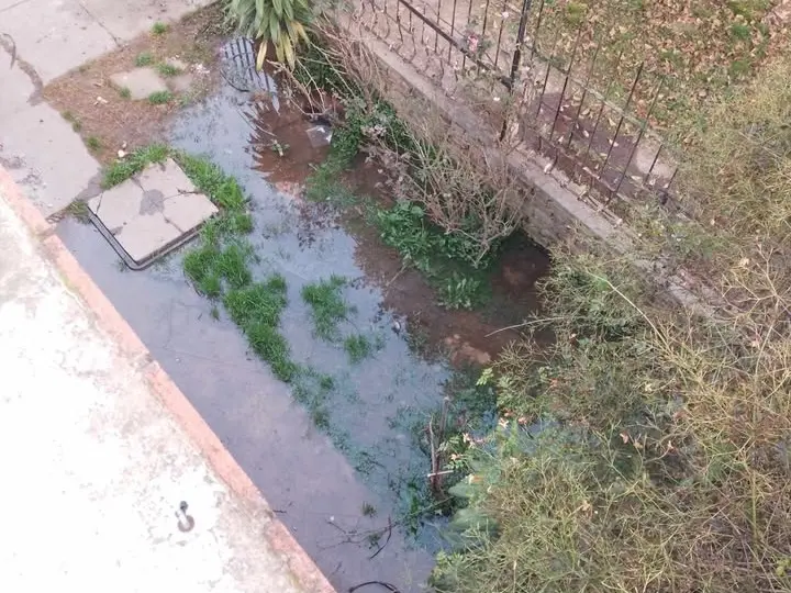 Cloacas tapadas en barrio Arco Iris
