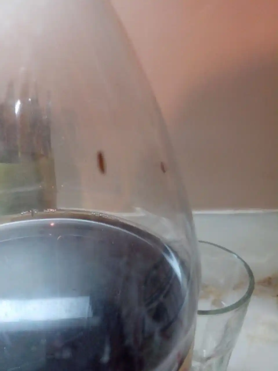 Vicente López: Compró una gaseosa y encontró la botella llena de bichos