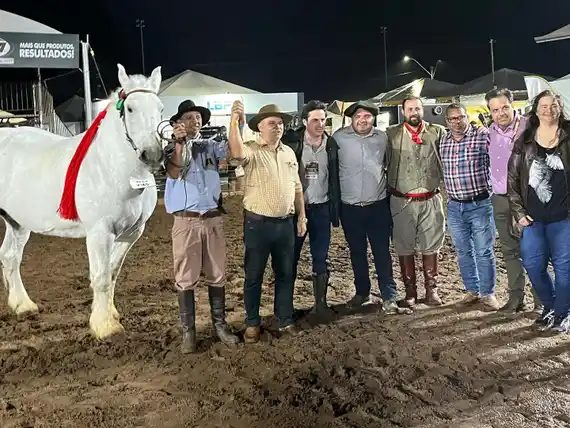 Mariano Berisso representó a la Argentina en la Jura de Clasificación de Percherón en Brasil