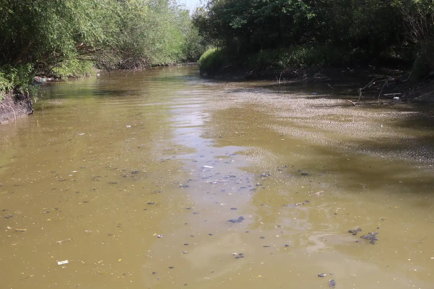 Dragado del río Gualeguaychú: el punto más complicado que arrojaron los estudios
