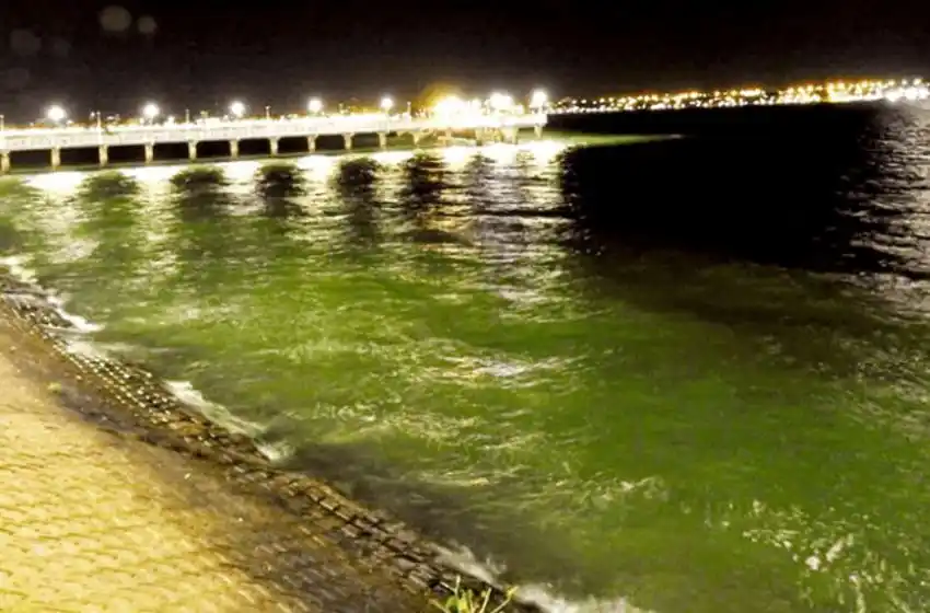 Encontraron algas en el río Paraná que podrían causar enfermedades