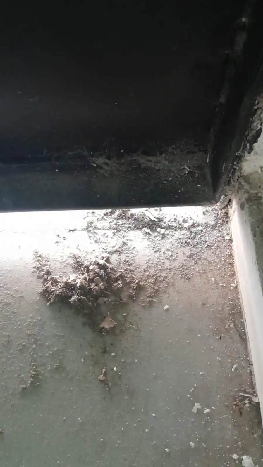 Así quedó un sector del vestuario de Aldosivi tras la bomba.