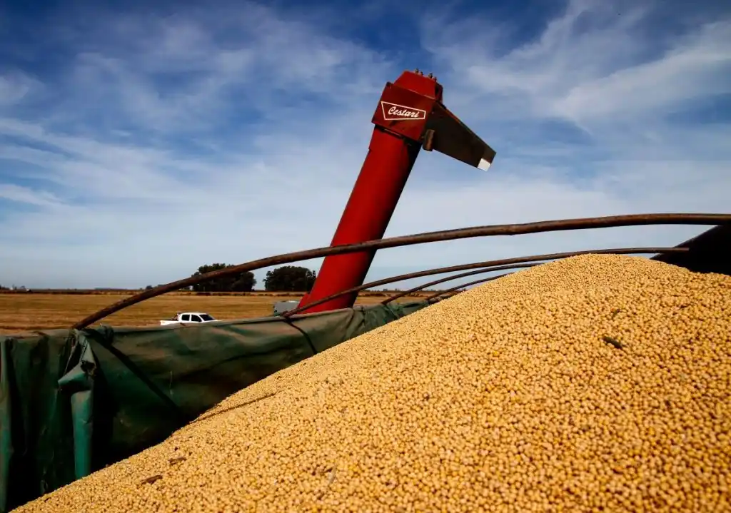 El sector agroindustrial exportó por US$ 9.637 millones en 2024, un 26% más que en 2023