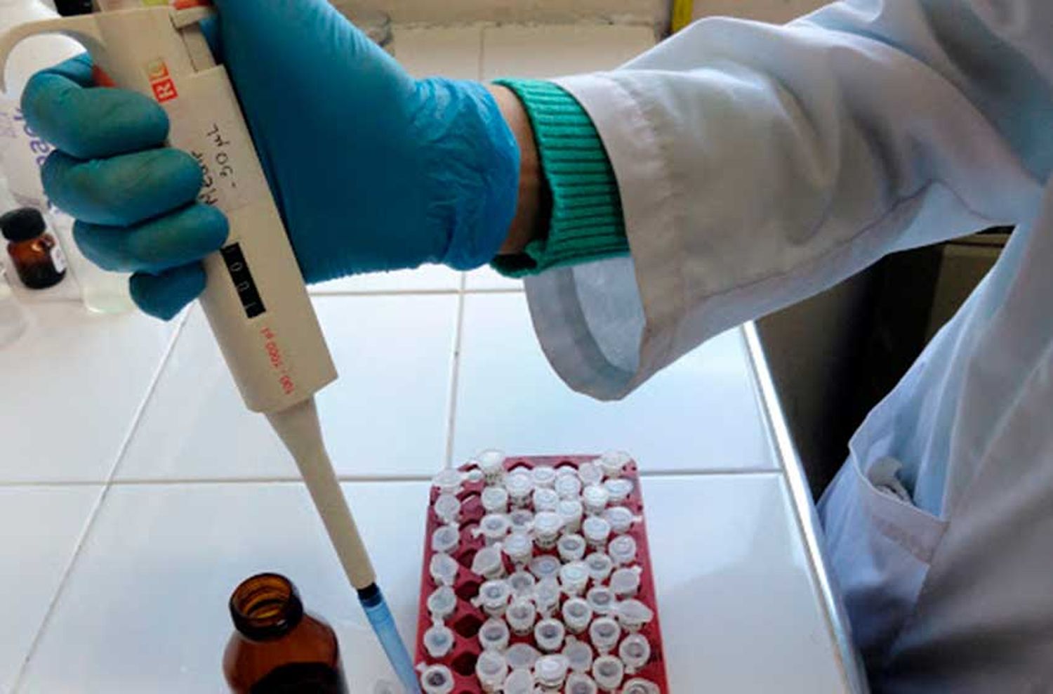 Coronavirus: 48 personas murieron en un día, la cifra más alta desde el inicio de la pandemia