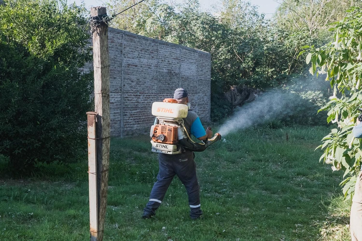 Hay 135 casos de dengue en la provincia