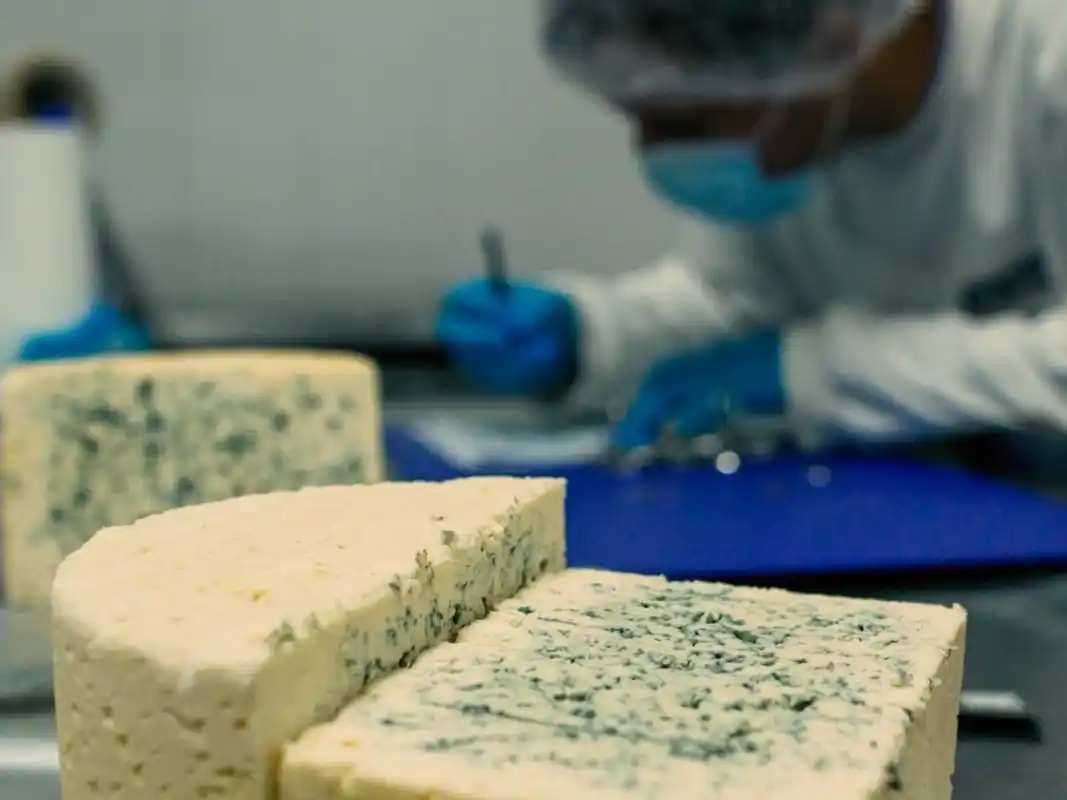 TodoLáctea 2025 será una gran vidriera para mostrar el potencial de lo que se hace en Santa Fe.