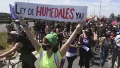 Lamentan que la Ley de Humedales no se discuta en sesiones extraordinarias