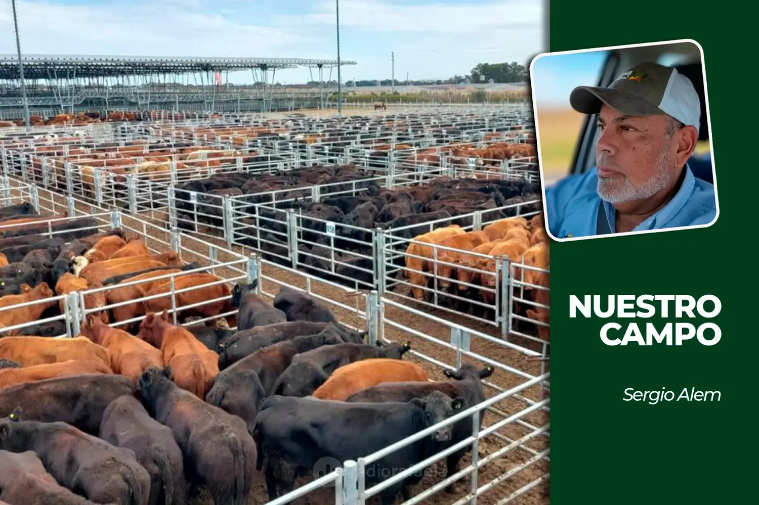 Cañuelas inició la semana sin ingresos y la soja cotizó a 510.000 pesos