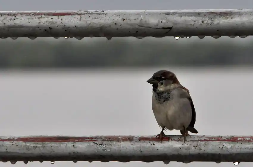 Frío y llovizna para esta mañana de lunes