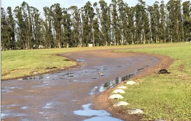 Sin actividad en Lobería