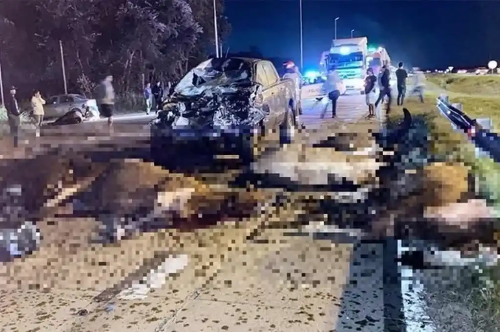 El saldo del accidente fue una muerta y un herido.