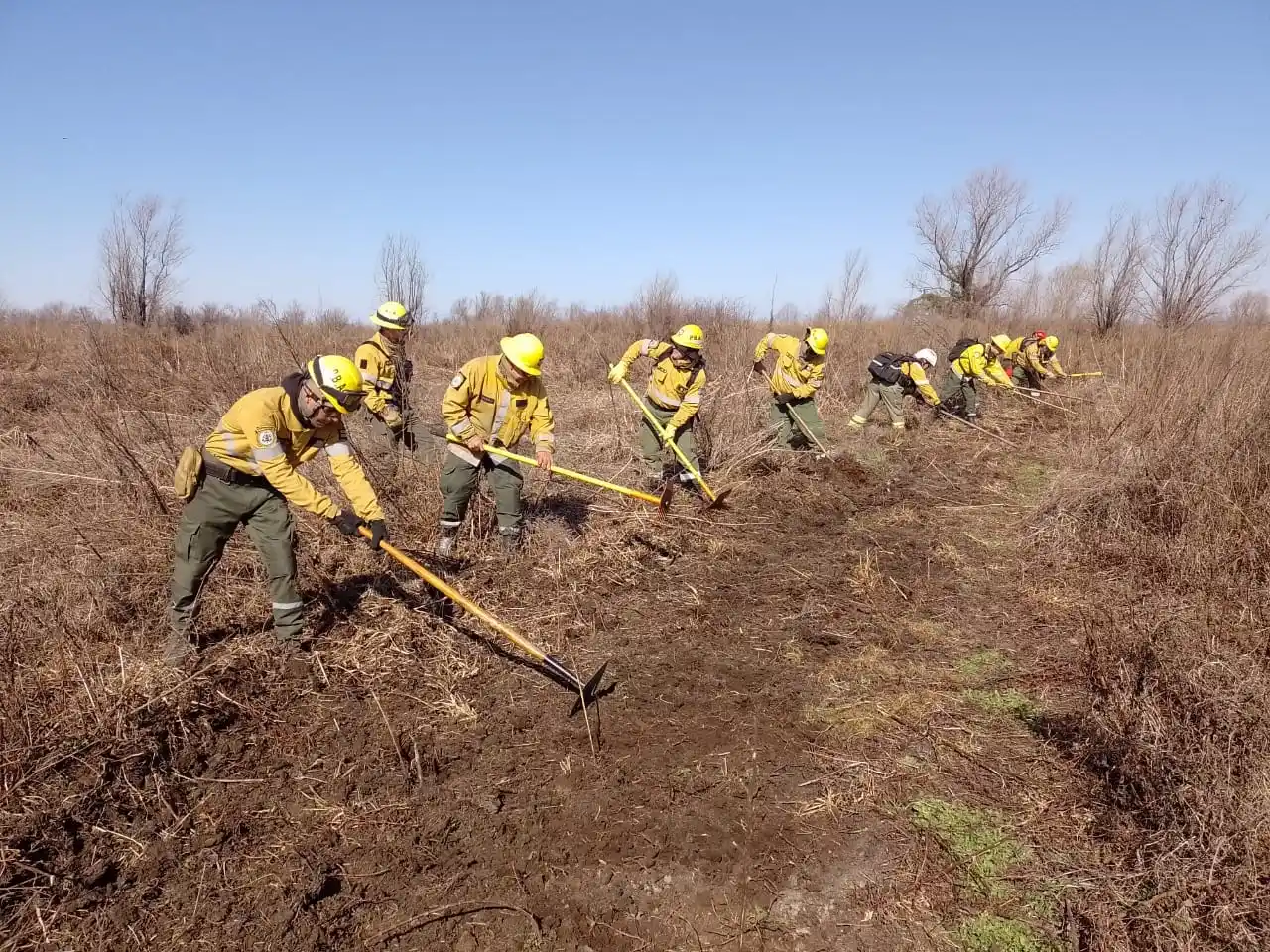 Incendios en islas: Se activaron focos por efecto del intenso viento