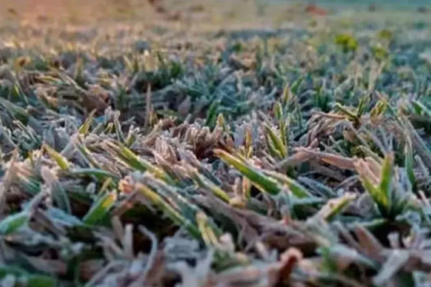 Mañanas frías en Santa Fe: Venado Tuerto registró una de las temperaturas más bajas del país