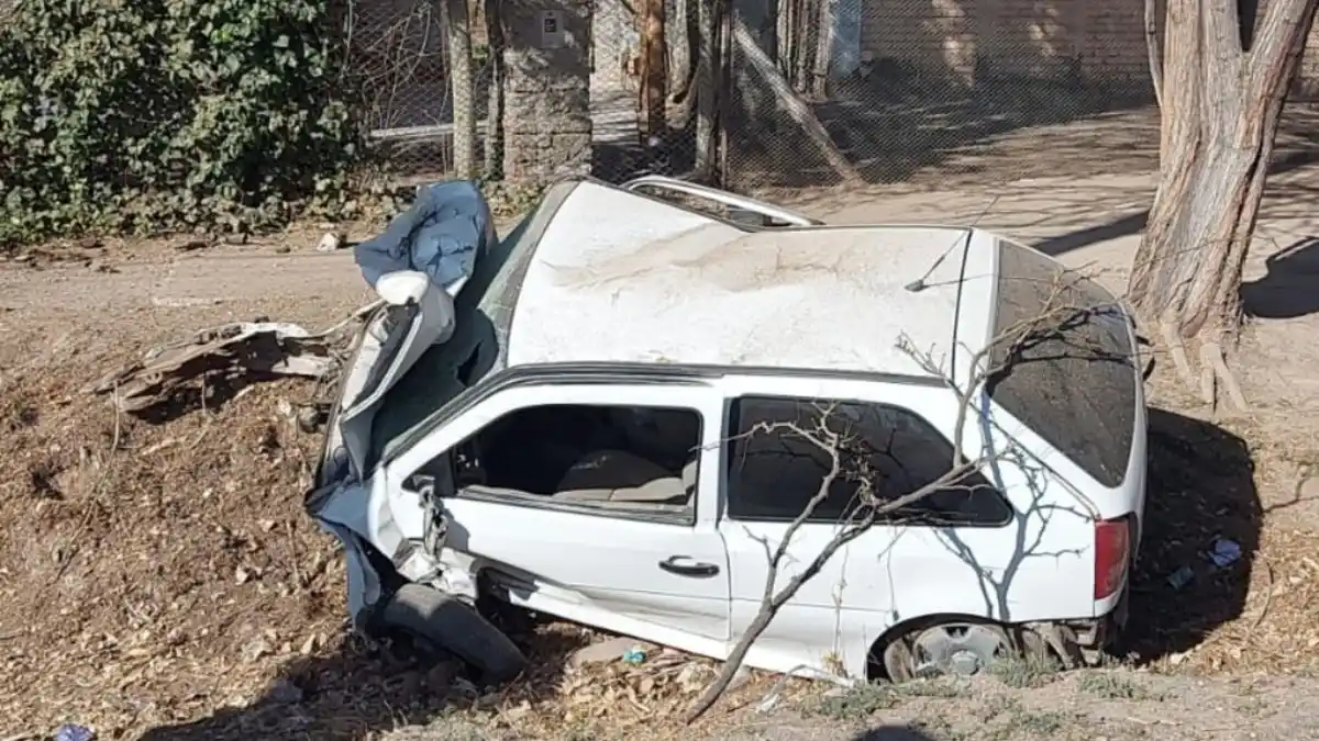 Automovilista chocó contra un árbol y murió al salir despedido