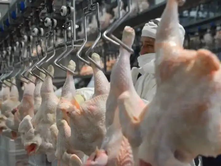 El pollo supera a la carne vacuna en consumo de los argentinos