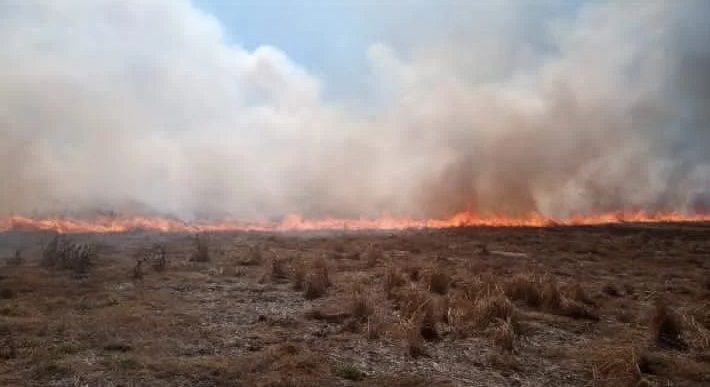 El Gobierno aprobó el “Plan Delta 2024” para combatir incendios