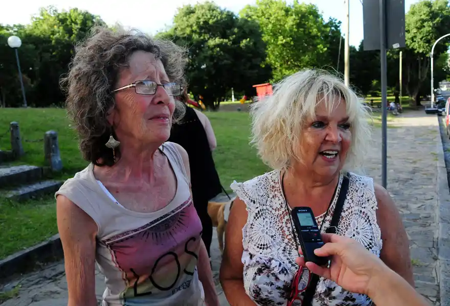 A días de las fiestas, resurge la polémica y los reclamos por la "pirotecnia cero"