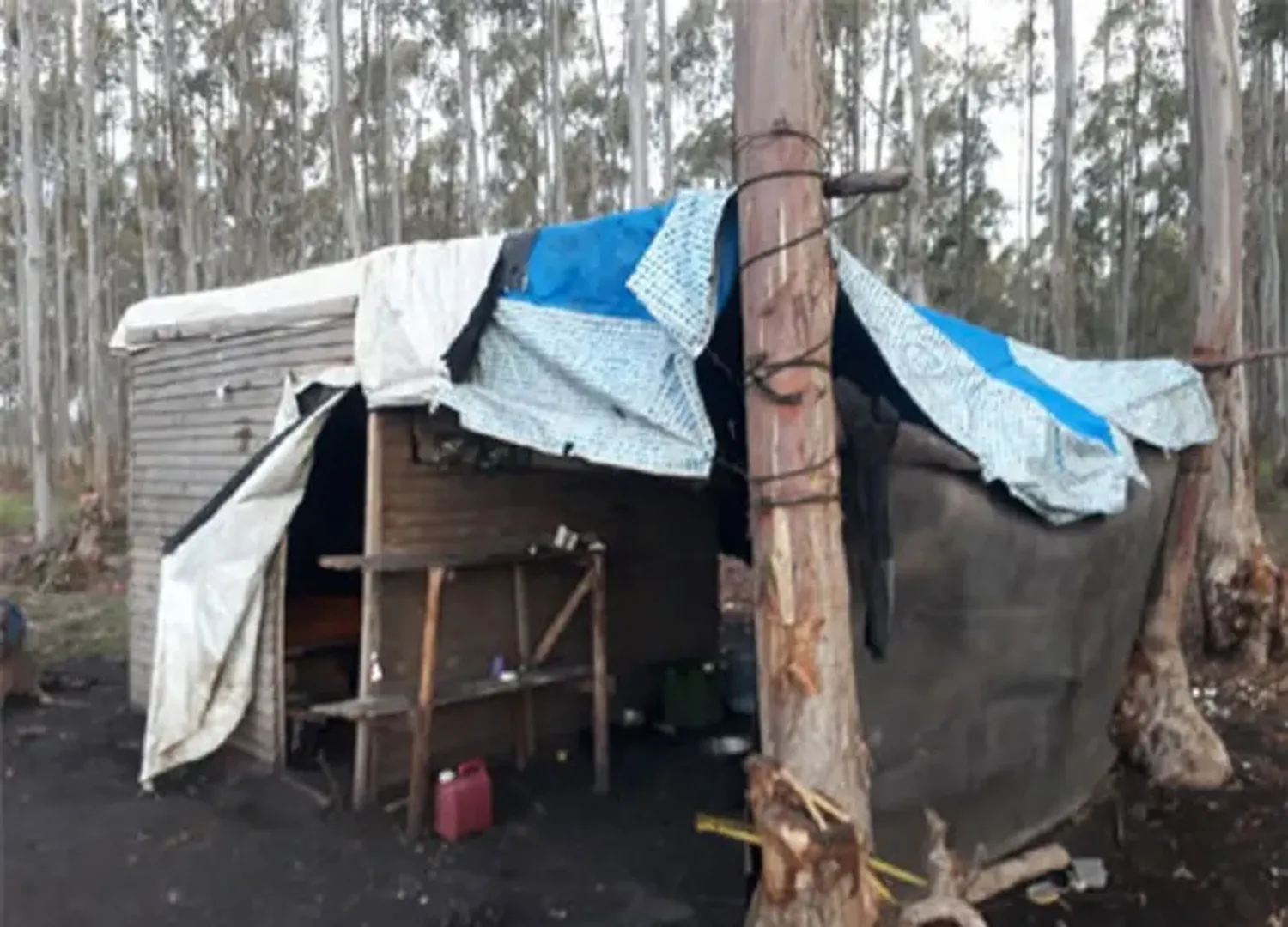 Rescataron a tres trabajadores abandonados en un campo: estaban en condiciones infrahumanas