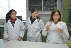 El Laboratorio de Virología se reorganizó para dar respuesta a la nueva demanda 