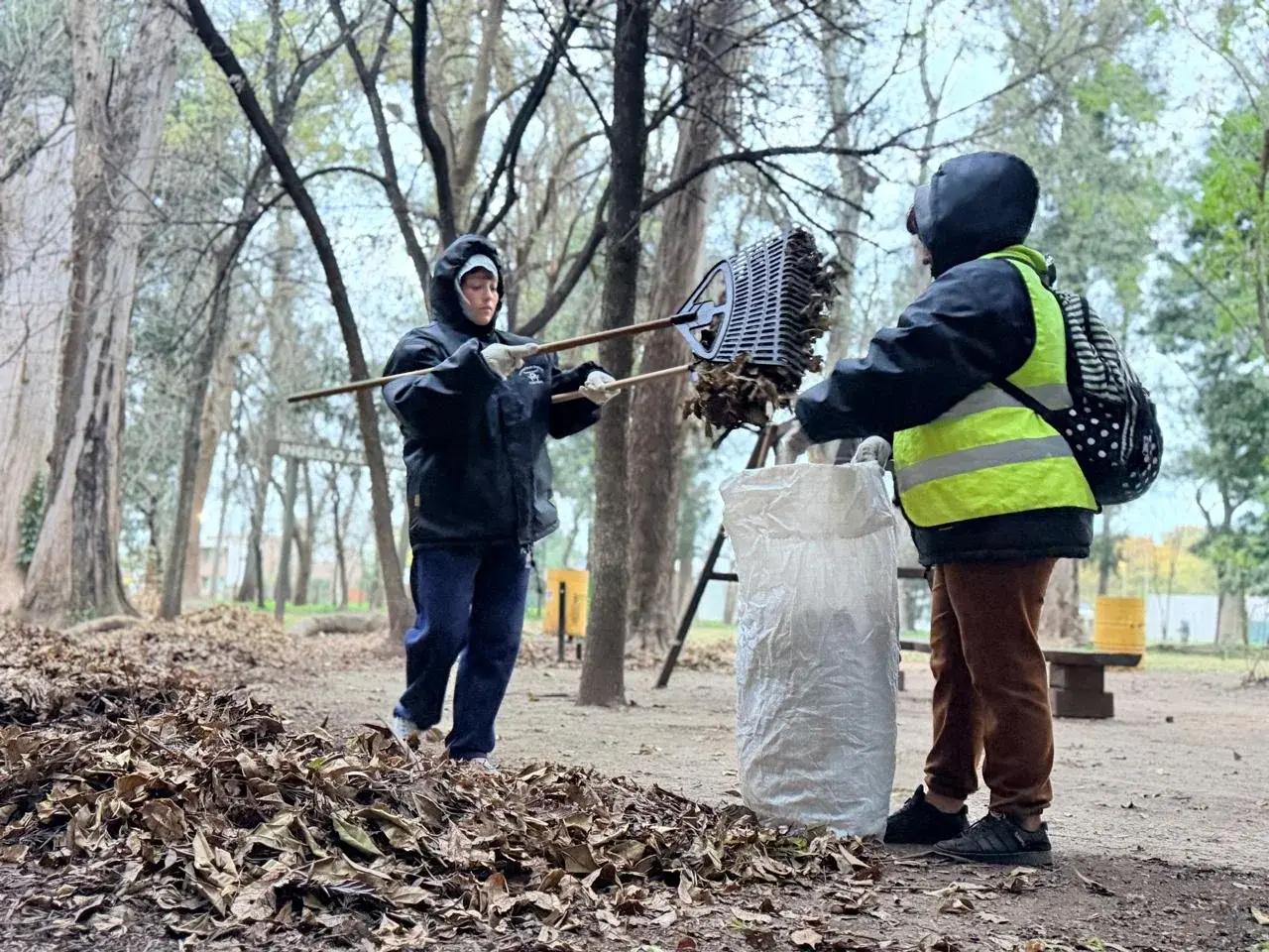 Realizaron tareas de limpieza y mantenimiento en el Bosquecito Besaccia