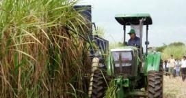 Alerta en el sector azucarero ante la posible apertura de las importaciones desde Brasil