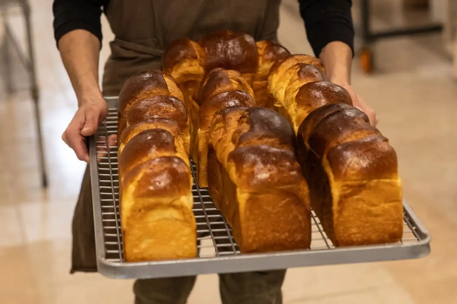 El pan es uno de los alimentos más antiguos y universales de la historia.
