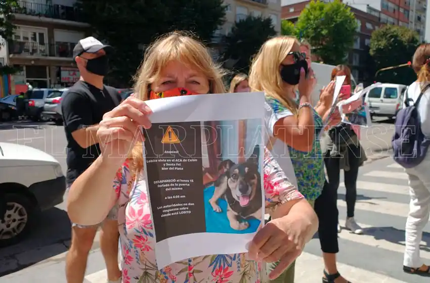 Apareció Lobito: cómo hallaron al simpático perrito que era buscado por miles de vecinos