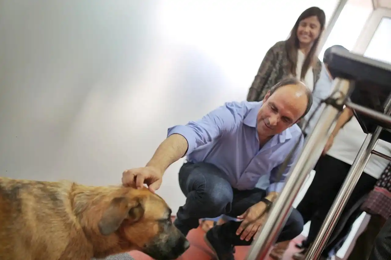 Desde este lunes comenzará a funcionar la Casa de las Mascotas Norte