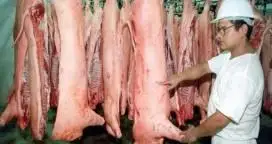 Productores de porcinos piden frenar la importación