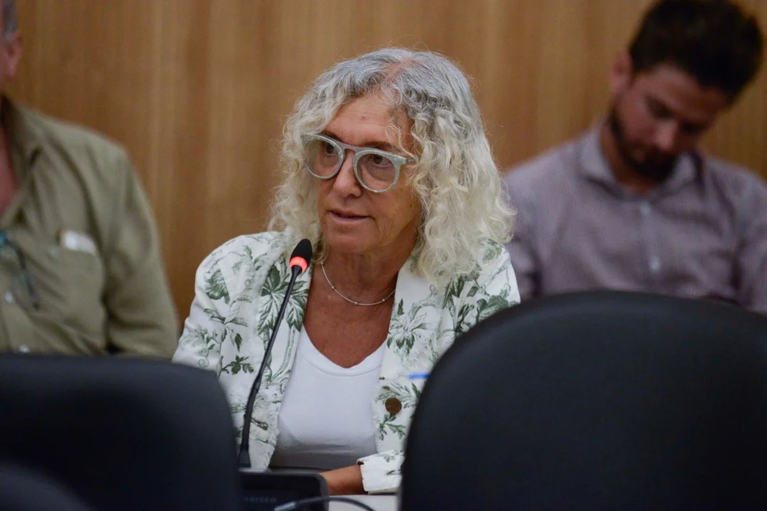 Mónica Frade, diputada de la Coalición Cívica