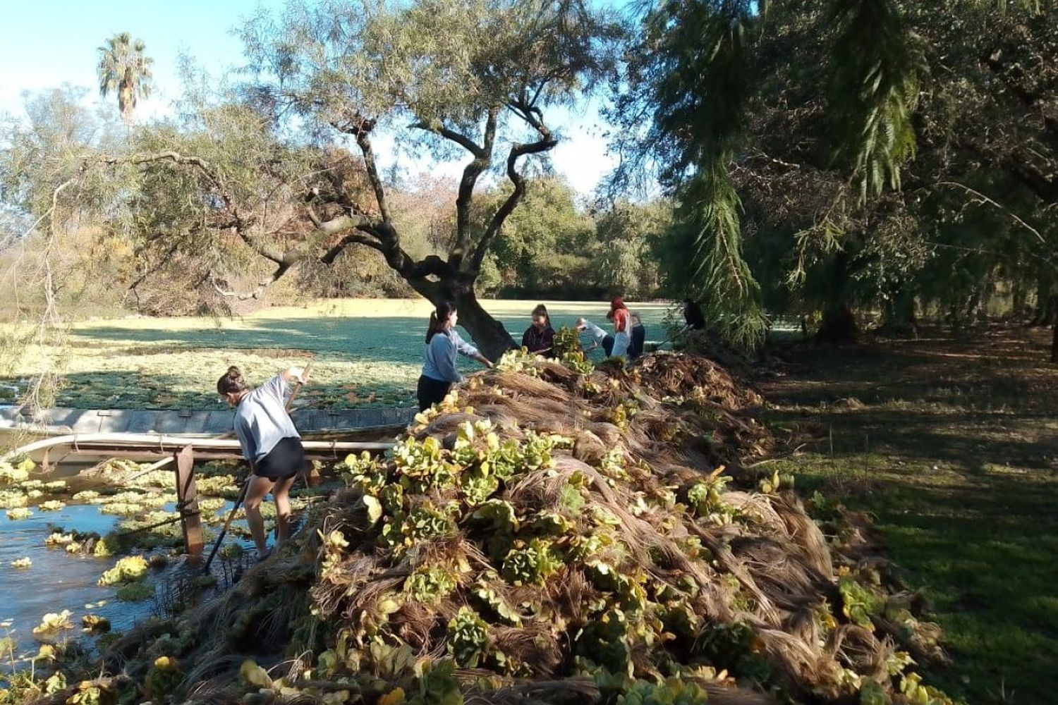 Postergaron la sexta jornada de limpieza de la Laguna del Parque Unzué: cuándo se realizará