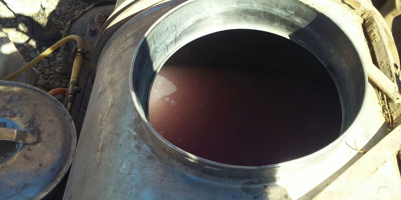 Fitosanitarios: la receta para lograr que no se corte el caldo
