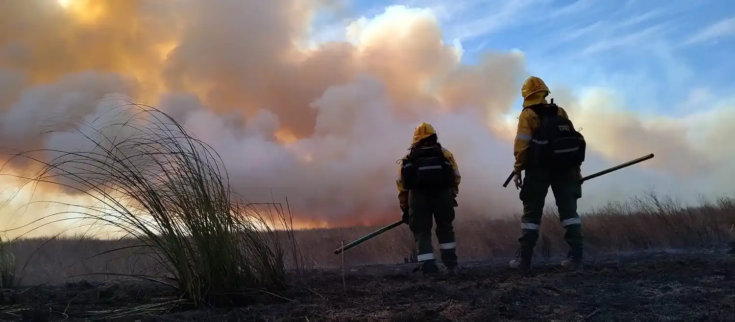 El Gobierno provincial está “en alerta” ante la propagación de focos de incendios en las islas del Delta