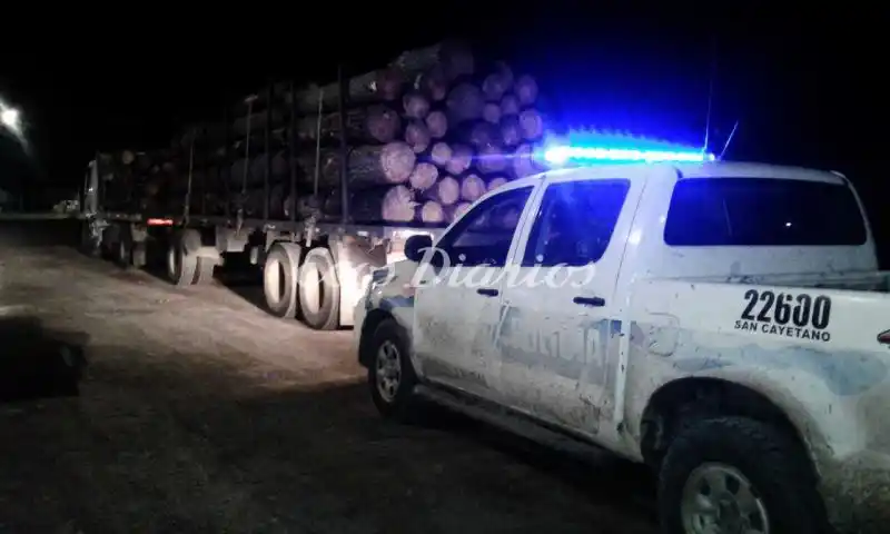 Secuestraron camión que transportaba 27 toneladas de rollizos sin autorización
