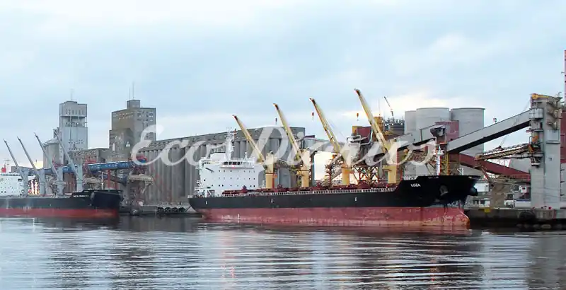 Un 30% menos de exportaciones