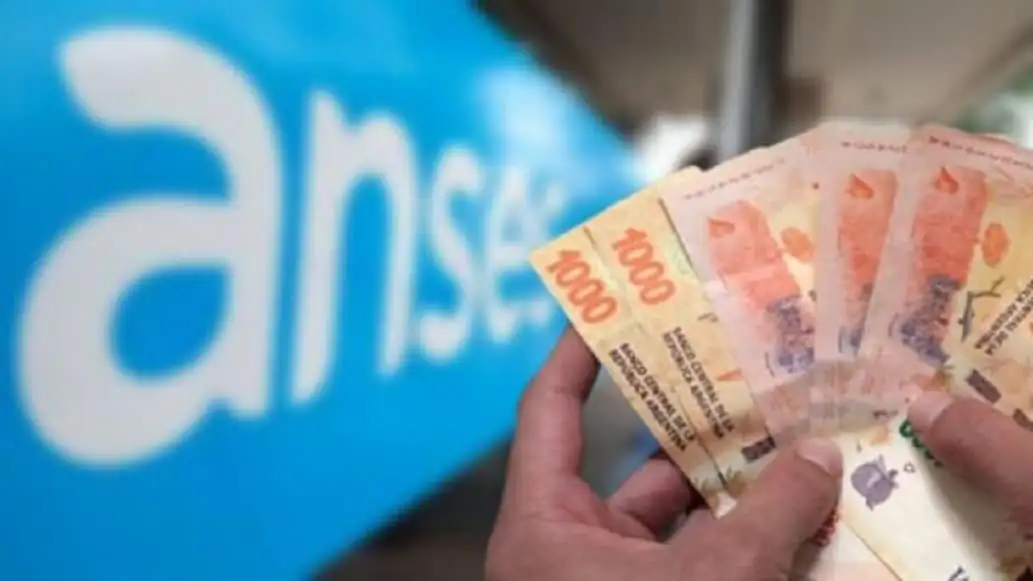 Bono de 36 mil pesos de ANSES: cómo saber quiénes lo cobran y desde cuándo