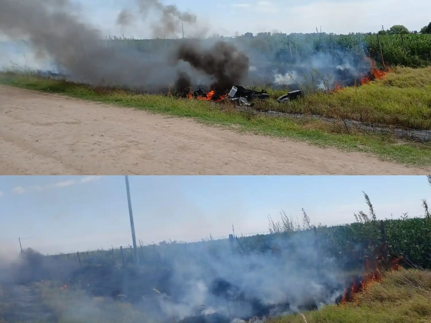 Rápida respuesta de los bomberos para evitar la propagación de las llamas.