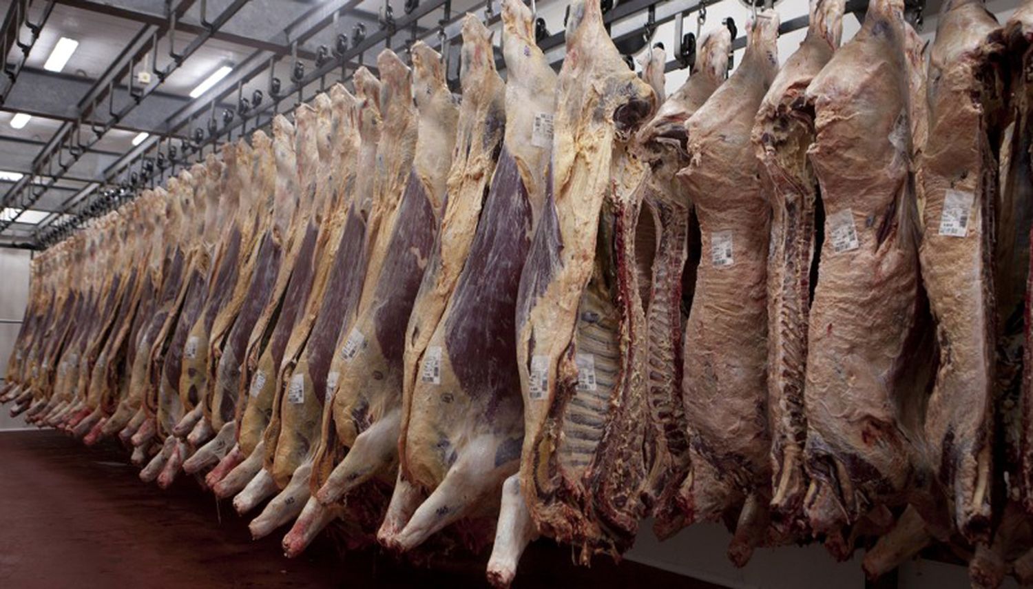 Carne: las exportaciones alcanzaron en marzo los USD 225 millones