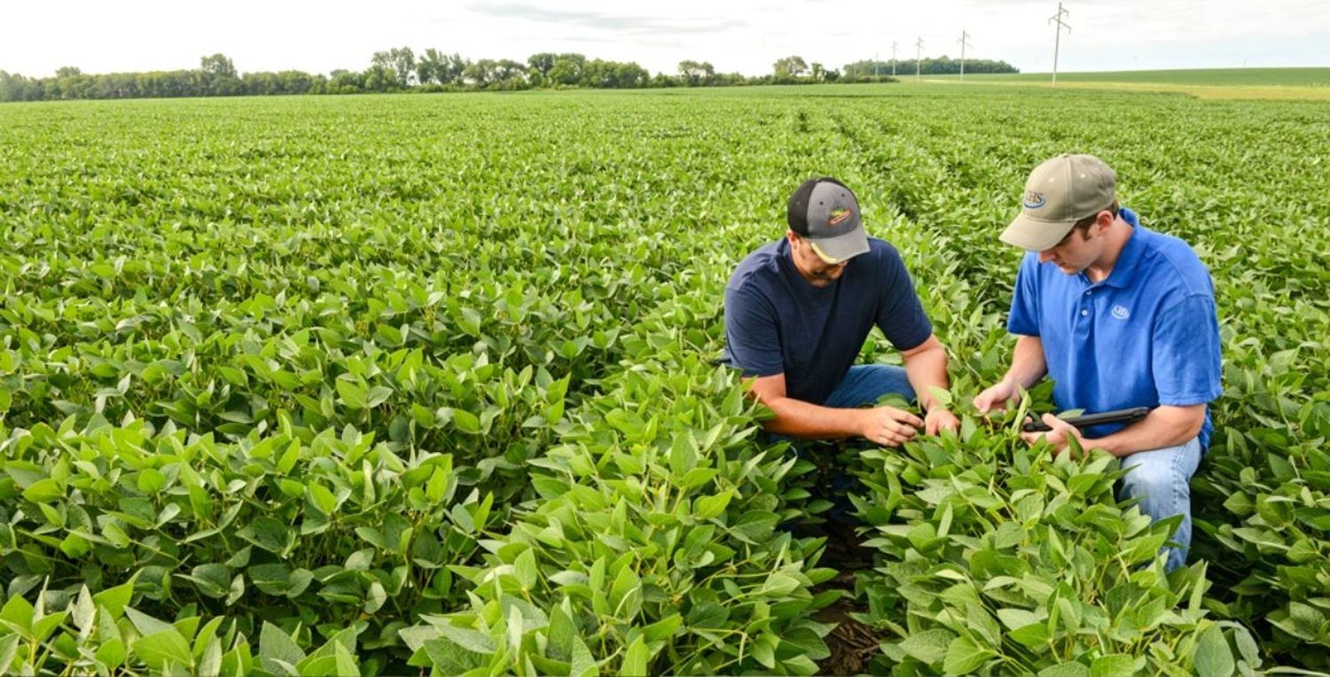 Hoy se celebra el Día Mundial de la Agricultura