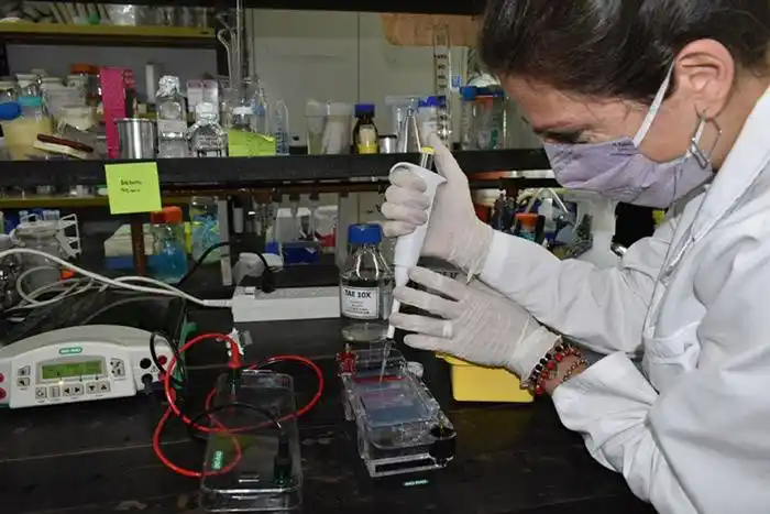 Subsidiarán proyectos sobre Cultura Científica