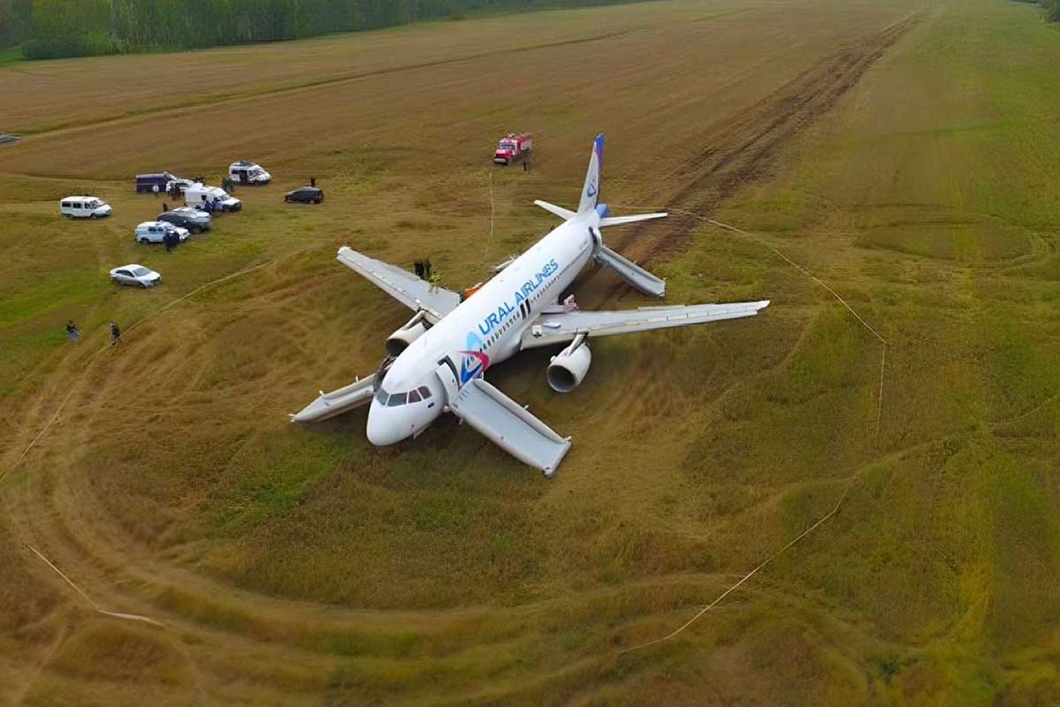 Despegar desde un campo: el desafío que enfrenta el A320 de Ural que aterrizó de emergencia en Siberia