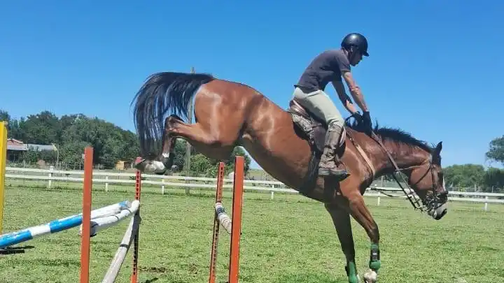 Habrá equitación en Raíces.