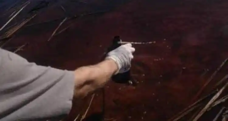 Sin Alberto Papel Prensa deja de contaminar