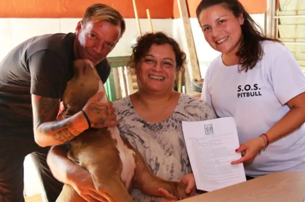 El pitbull hallado atado en un vagón de tren encontró una familia adoptiva