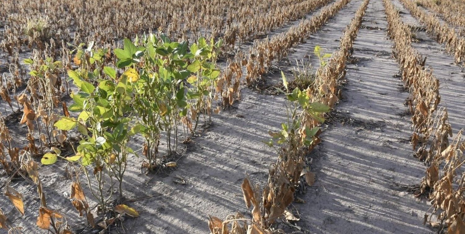 Las lluvias no llegaron y el impacto económico en la región se prevé desde abril