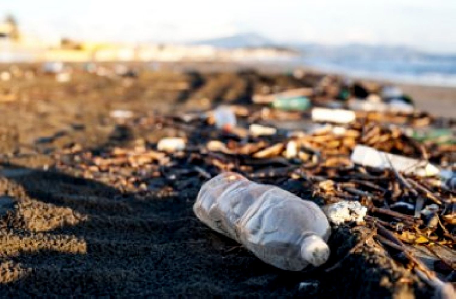 "Somos nosotros los que estamos llenando el mar de plástico"