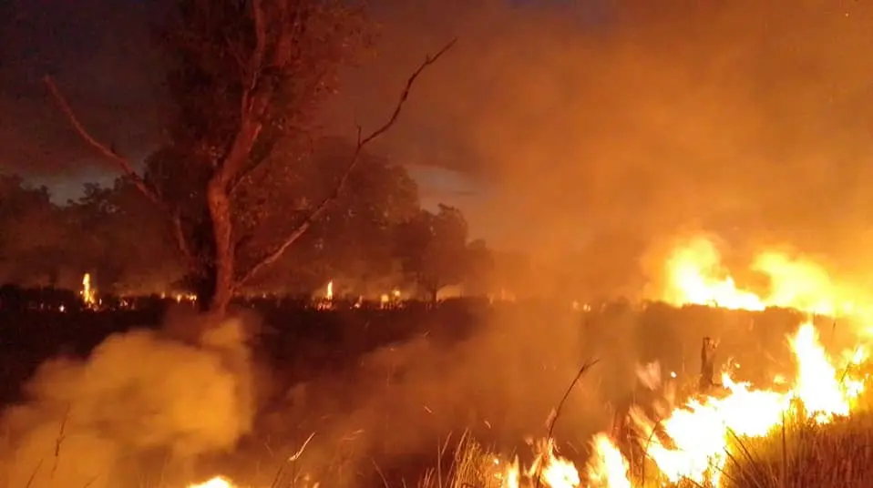 Bomberos trabajaron hasta altas horas de la noche en varios incendios forestales
