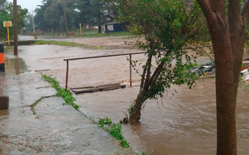 Calle Frers, llena de agua: “No podemos salir”